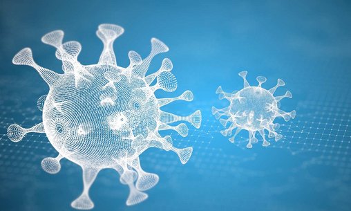 Corona virus